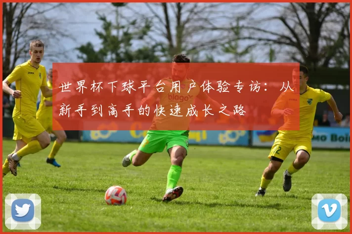 世界杯下球平台用户体验专访：从新手到高手的快速成长之路