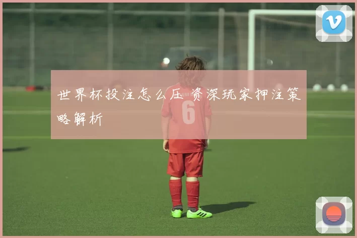世界杯投注怎么压 资深玩家押注策略解析