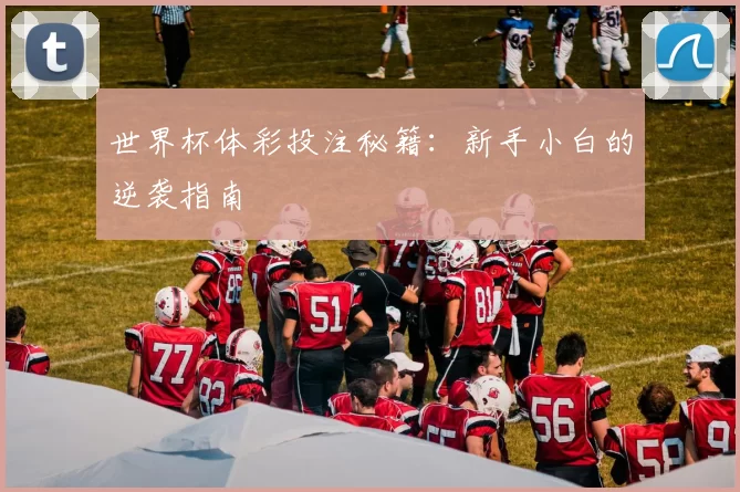 世界杯体彩投注秘籍：新手小白的逆袭指南