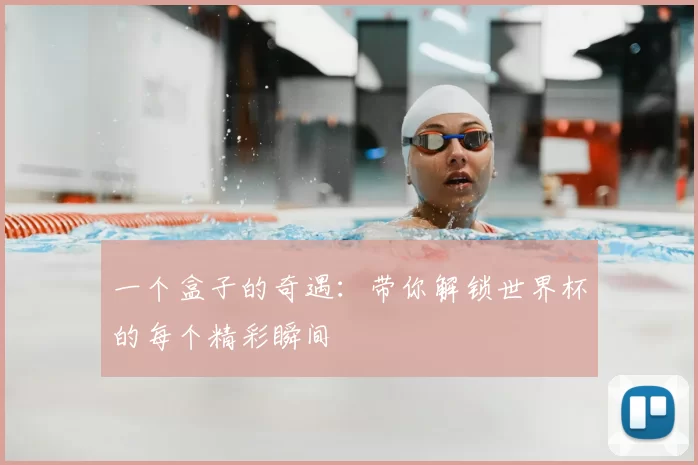 一个盒子的奇遇：带你解锁世界杯的每个精彩瞬间