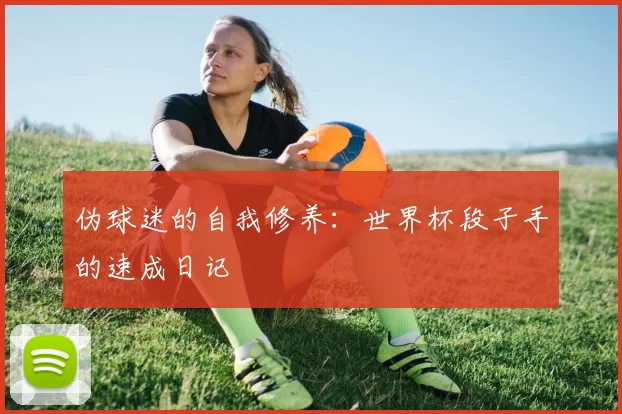 伪球迷的自我修养:世界杯段子手的速成日记