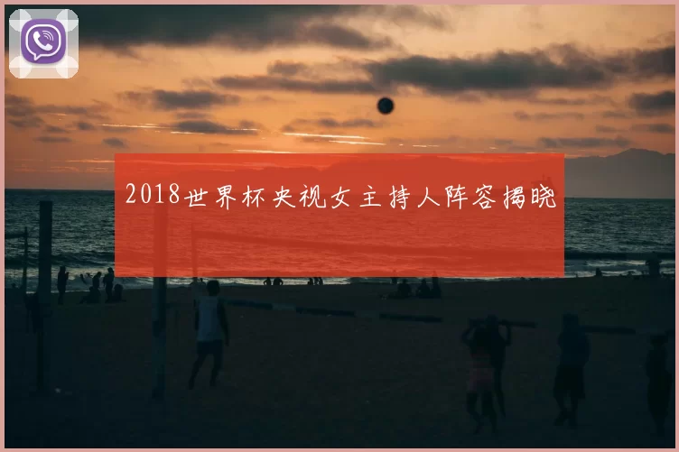 2018世界杯央视女主持人阵容揭晓