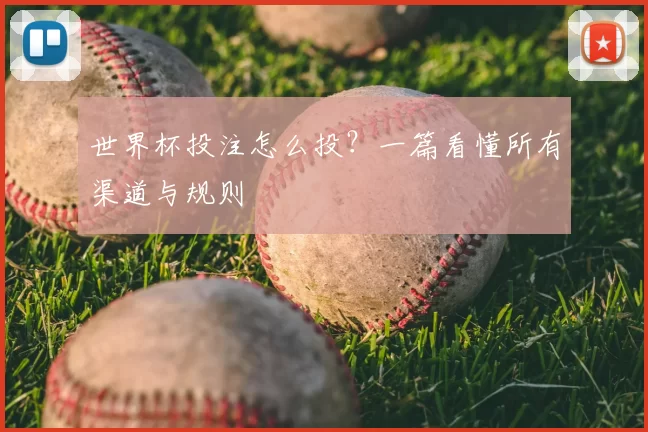 世界杯投注怎么投？一篇看懂所有渠道与规则