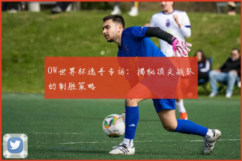 OW世界杯选手专访：揭秘顶尖战队的制胜策略