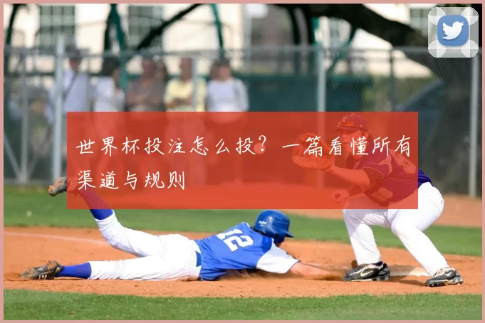 世界杯投注怎么投?一篇看懂所有渠道与规则