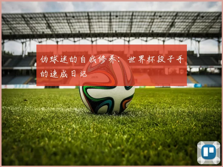 伪球迷的自我修养:世界杯段子手的速成日记