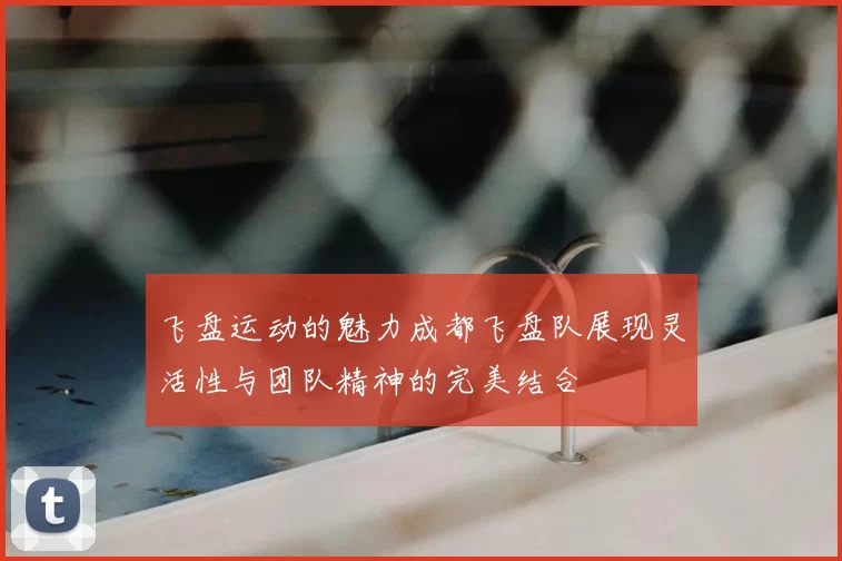 飞盘运动的魅力成都飞盘队展现灵活性与团队精神的完美结合