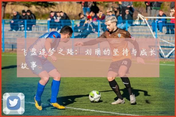 飞盘追梦之路:刘丽的坚持与成长故事
