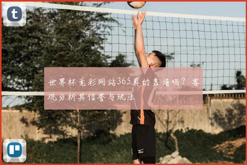 世界杯竞彩网站365真的靠谱吗?客观分析其信誉与玩法