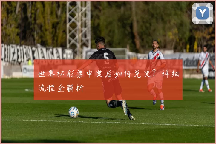 世界杯彩票中奖后如何兑奖？详细流程全解析
