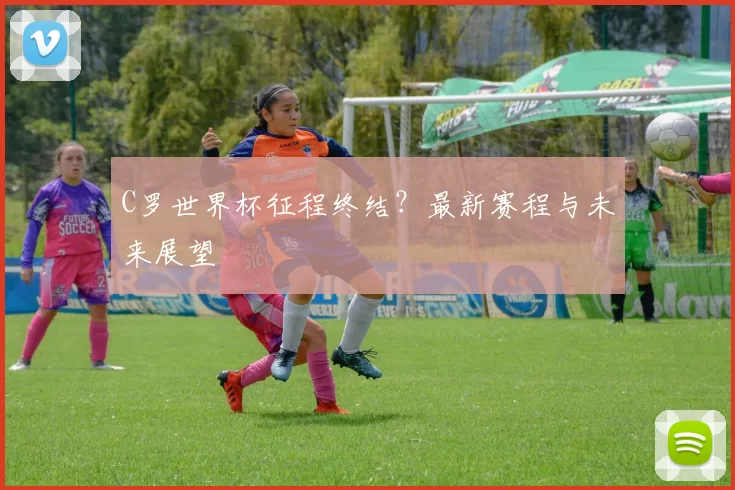 C罗世界杯征程终结?最新赛程与未来展望