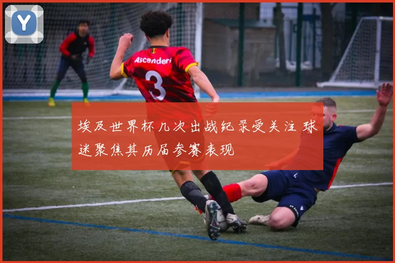 埃及世界杯几次出战纪录受关注 球迷聚焦其历届参赛表现